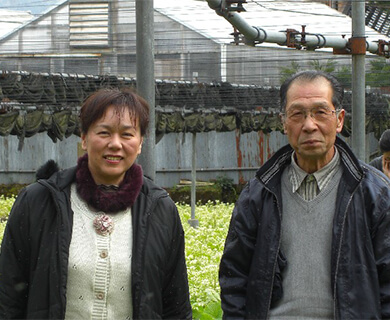 兵庫 神鍋高原 北村わさび