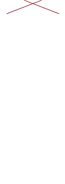 記憶に残る店！記憶に刻まれる鶏！そして記憶が蘇る味！