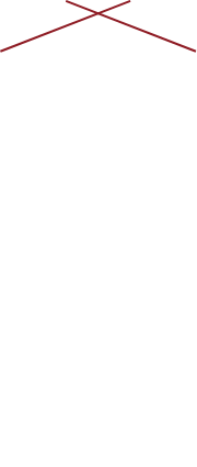 孤高の焼き鳥屋